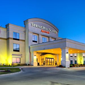 Springhill Suites By Marriott Ardmore Exterior photo