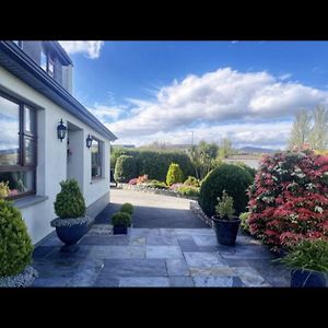 Knockview Bed & Breakfast Aughrim Exterior photo