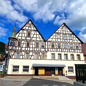 Zur Schoenen Lau- Monteurzimmer Blaubeuren Exterior photo