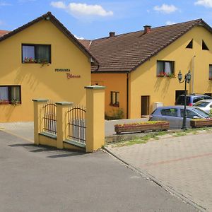 Pensiunea Blanca Hotel Reghin Exterior photo