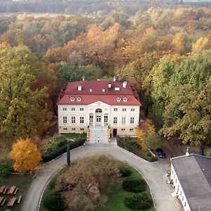 Palac Alexandrow Wroclaw Airport Hotel Samotwor Exterior photo