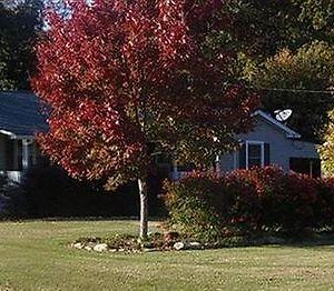 Cozy Southern Charm Bed And Breakfast Chattanooga Exterior photo