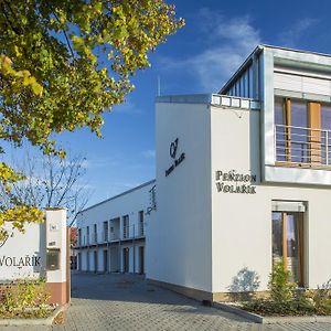 Penzion Volarik Hotel Dolni Dunajovice Exterior photo