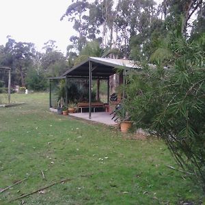 Snowy River Lodge Motel Orbost Exterior photo