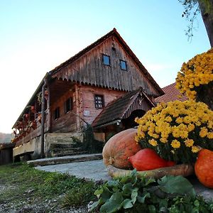 Tourist Farm Pri Martinovih Villa Krska Vas Exterior photo