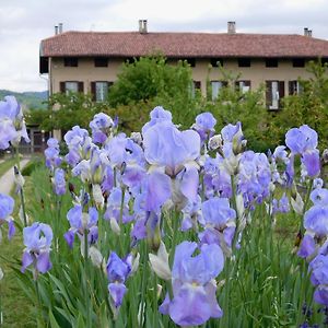 U Tej Bed & Breakfast Cumiana Exterior photo