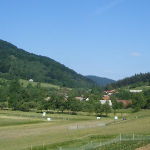 Guest House Kmetija Dane Exterior photo