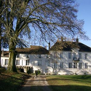 Le Chateau De Prauthoy Bed & Breakfast Exterior photo