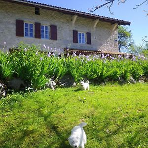 Chambre D'Hotes La Haie Fleurie Bed & Breakfast Chevillard Exterior photo