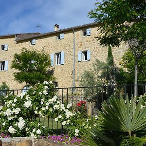 Le Mas Des Monedes Bed & Breakfast Saint-Paul-le-Jeune Exterior photo