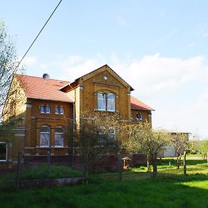 Alte Muehle Kelbra - Ehemalig Albig Apartment Exterior photo