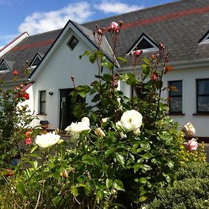 Coonagh Lodge B&B Limerick Exterior photo