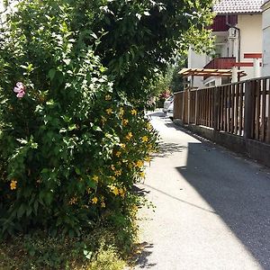 Sunflower Accommodation Ljubljana Exterior photo