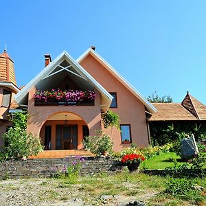 Polychko Winehouse Hotel Vynohradiv Exterior photo