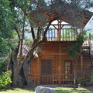 Kizilbuk Ahsap Evleri Hotel Datca Room photo