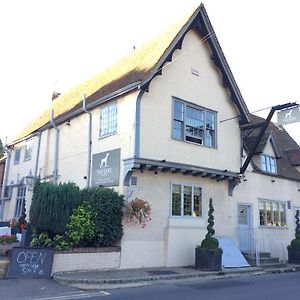 The Dog At Wingham Hotel Exterior photo