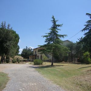 Agriturismo Podere Selvette Apartment Campagnatico Exterior photo