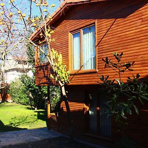 Konak Beyzade Hotel & Bungalow Darica  Exterior photo