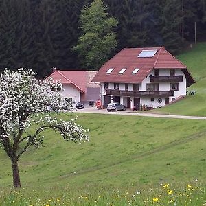 Ferienwohnung Ringwald Biederbach Exterior photo