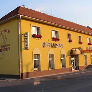 Penzion Zlaty Dukat Hotel Zvolenska Slatina Exterior photo