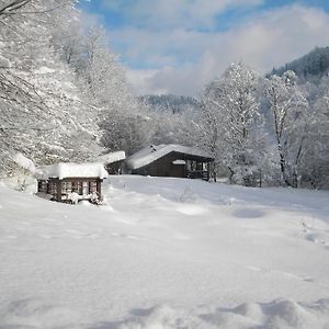 Chalet Kukavica Villa Zhdeniievo Exterior photo