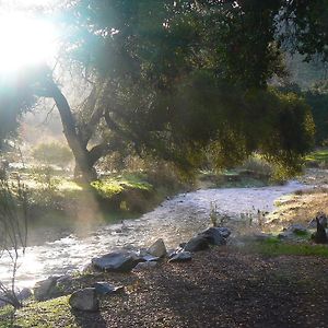 Pio Pico Camping Resort Two-Bedroom Cabin 12 Jamul Exterior photo