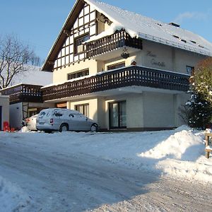 Haus Cristallo Apartment Olsberg Exterior photo