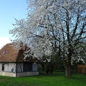 Gite Falafa Normand Villa Pont-l'Eveque  Exterior photo