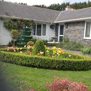 Estuary View Farm Bed & Breakfast Kingsbridge  Exterior photo