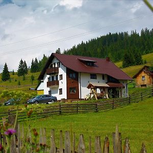 Casa Din Plai - Bucovina Hotel Moldova Sulita Exterior photo