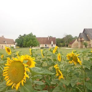 Gite Et Chambre D'Hotes Du Guillot Bed & Breakfast Sainte-Solange Exterior photo