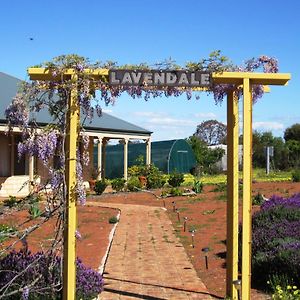 Lavendale Country Retreat Guest House York Exterior photo