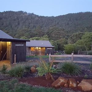 Rustic Hut Bush Retreat Bed & Breakfast Penguin Exterior photo