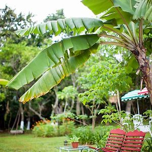 Casa Da Buena Vista Bed & Breakfast Mandeville Exterior photo