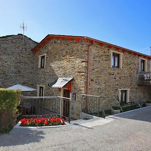 Apartamentos Rurales San Xillao Ribadeo Exterior photo