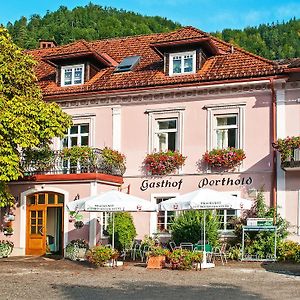 Gasthof Zum Niederhaus - Familie Perthold Hotel Sankt Aegyd am Neuwalde Exterior photo