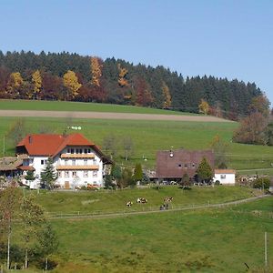 Dischhof Villa Biederbach Exterior photo