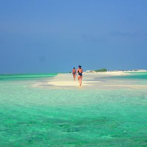 Chill Holidays Maldives Maamigili Island Exterior photo