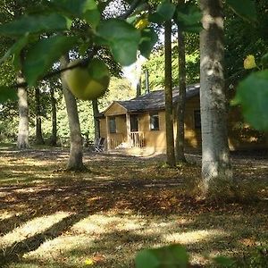 The Apple Wood Apartment Warminster Exterior photo