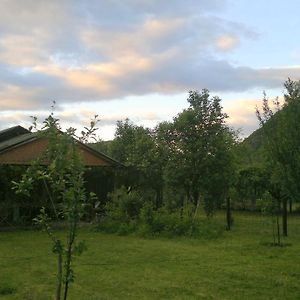 Biosphere Reserve Hostel Bogutovac Exterior photo