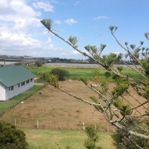 Dargaville Motel Exterior photo