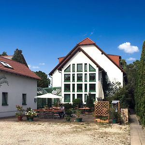 Hotel Lindenthal Leipzig Exterior photo