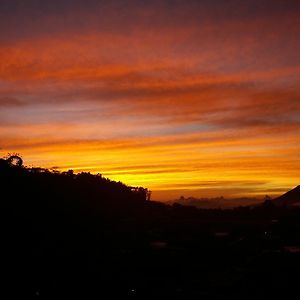 Bajawa-Roo Hotel Exterior photo