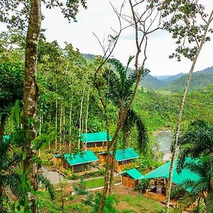 Pacuare Outdoor Center Hotel Turrialba Exterior photo