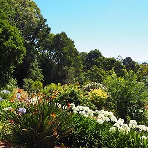 Murrindindi Bed & Breakfast Kallista Exterior photo