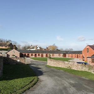 The Old Sheep Shed Villa Alberbury Exterior photo