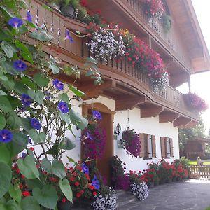 Hofbauer Villa Itter Exterior photo