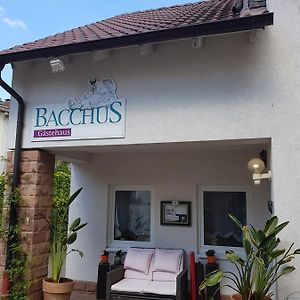 Gastehaus Bacchus Hotel Wachenheim an der Weinstrasse Exterior photo