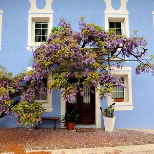 The Blue House Hotel Tolmin Exterior photo