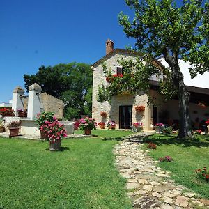 La Tenuta Bed & Breakfast Mozzagrogna Exterior photo